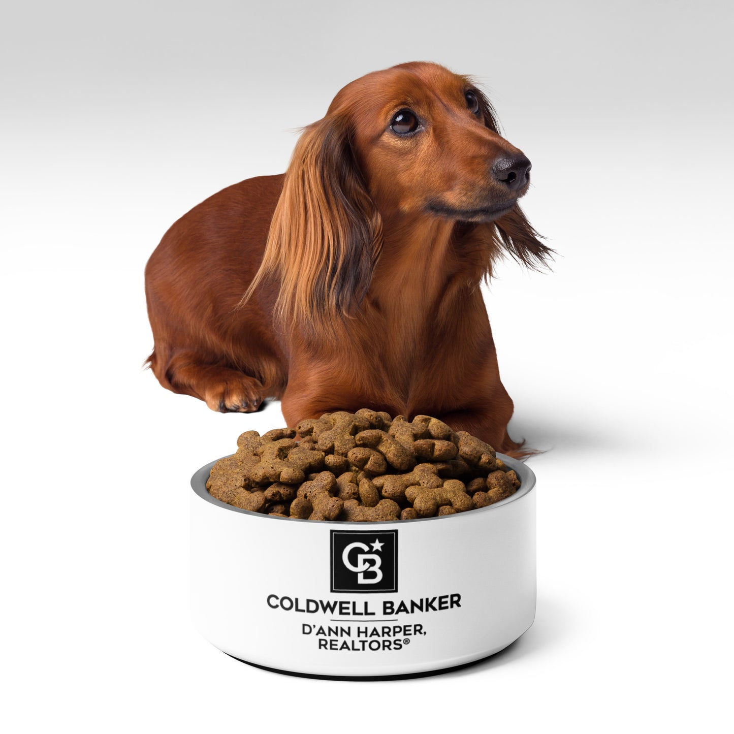 CBDHR Pet bowl